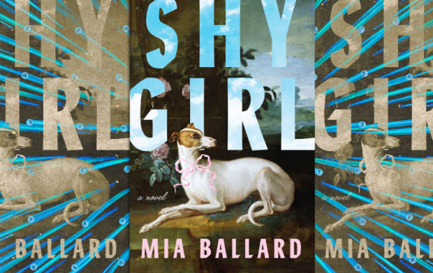 누가 이 소설을 썼는가